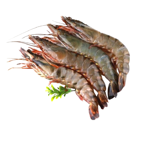 Prawn
