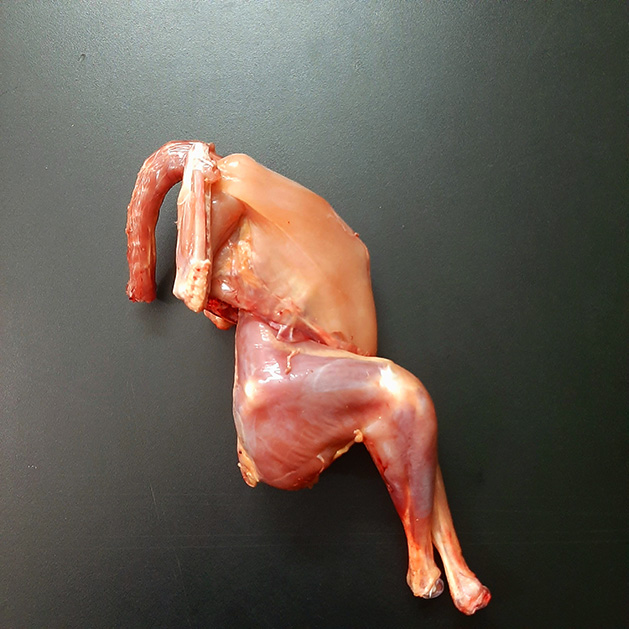 deshi murgi