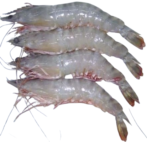 chaka
