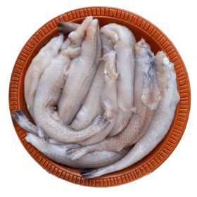 Sail fish/pakhi mach-(সেইল ফিশ / পাখি মাছ)