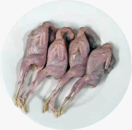 Koyel pakhi-(কোয়েল পাখি)