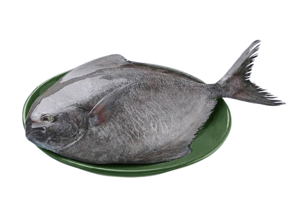 kalochad