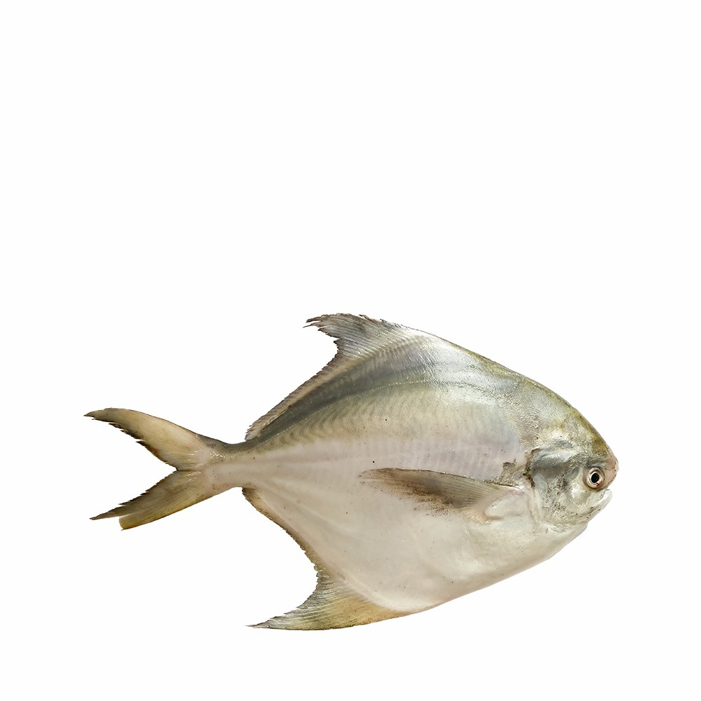rupchanda