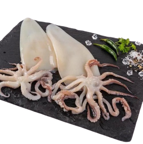 squid