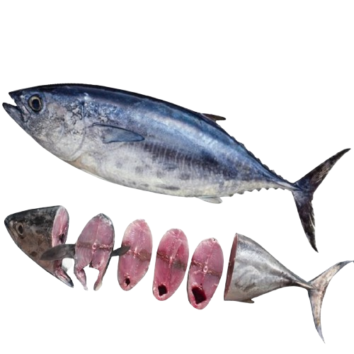 tuna